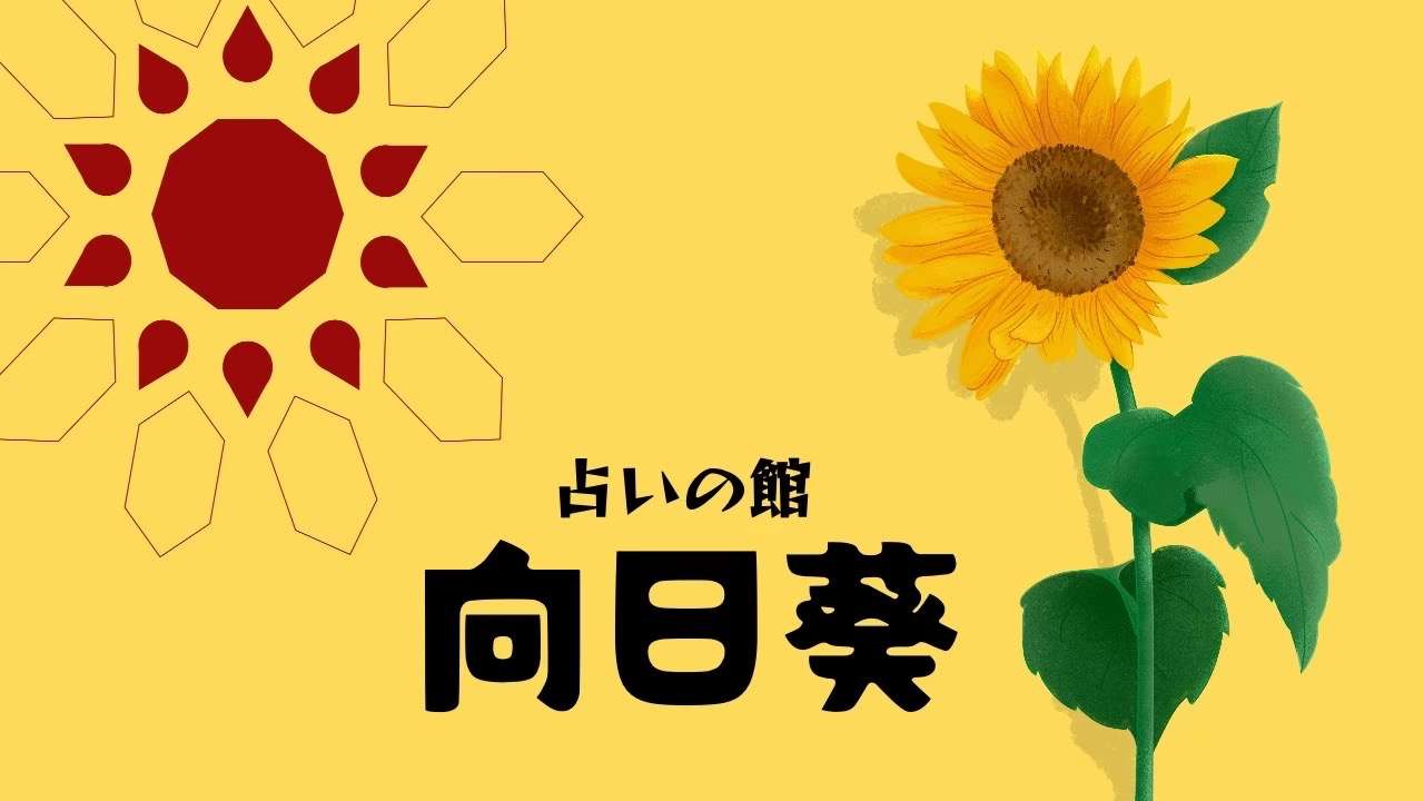 紫微斗数からタロットまで！多様な占いを学ぶ特別プログラム開講