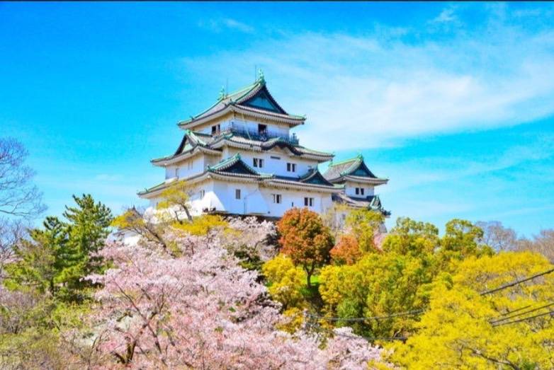 短期間で稼げる占い技術をマスター！紫微斗数初心者講座