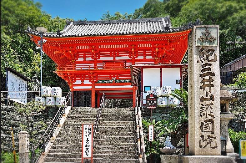 初心者歓迎！和歌山発 紫微斗数短期集中講座で本格占いを学ぶ